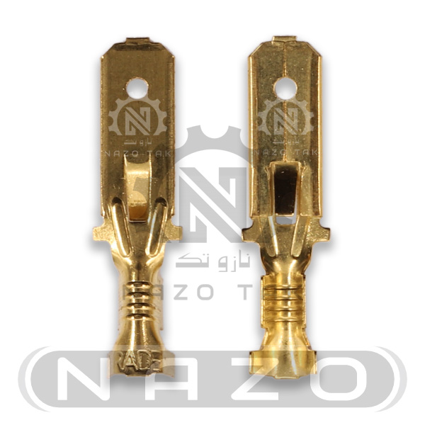 سرسیم فیشی نری 