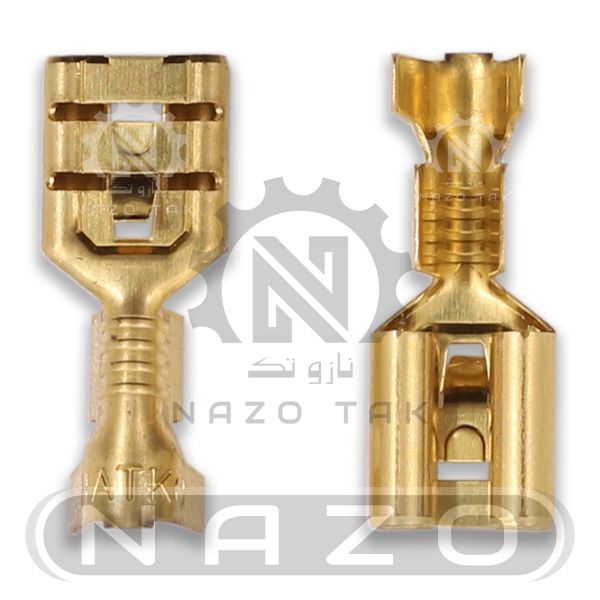 سرسیم مادگی 